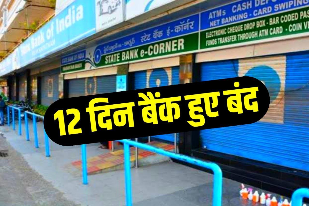 Bank Holiday: RBI के आदेश के बाद इस महीने 12 दिन बंद रहेंगे बैंक, यहां देखें जुलाई महीने में बैंकों की छुट्टियों की सूची