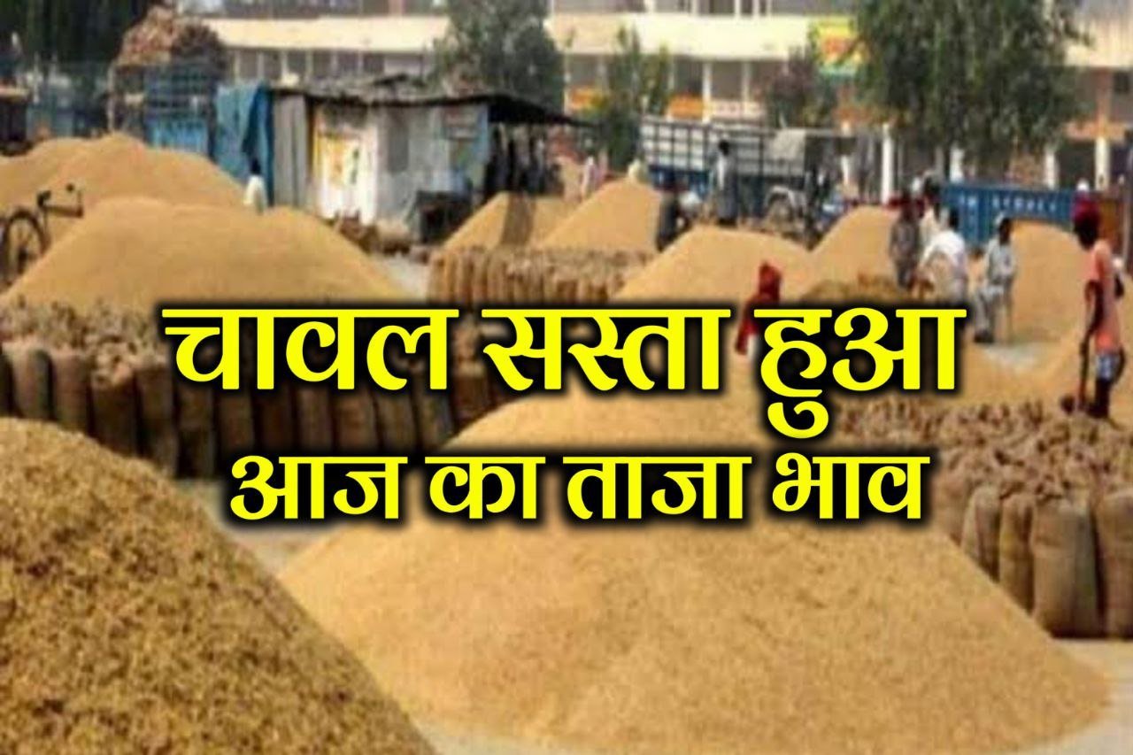 Rice Price Today : अचानक चावल हुआ सस्ता जानिए 1Kg से 100Kg चावल का कीमत आपके शहर में क्या है ताजा भाव