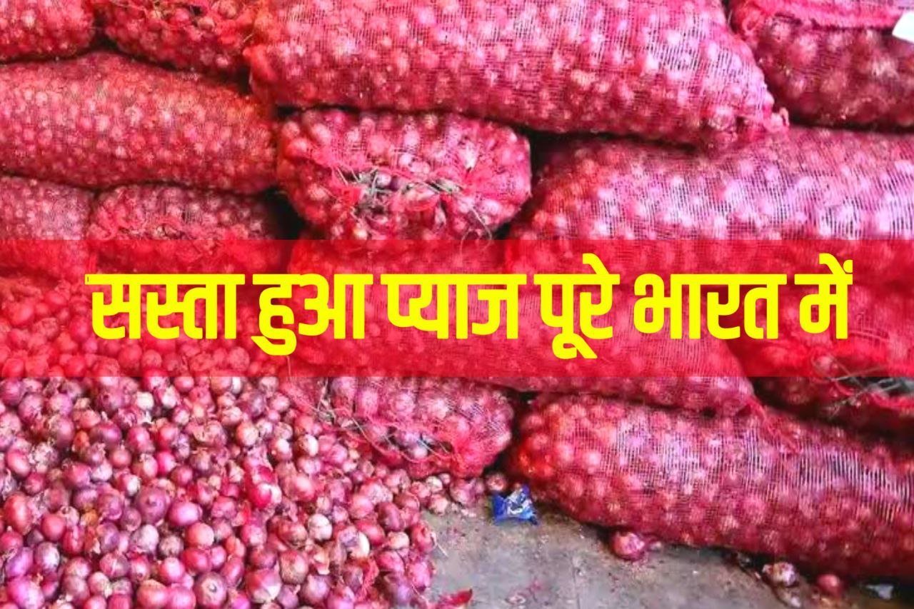 Onion Today Price : अभी अभी प्याज हुआ सस्ता बाजार में खरीदने के लिए लगी भीड़ यहां जानिए 1Kg प्याज की आज का ताजा भाव